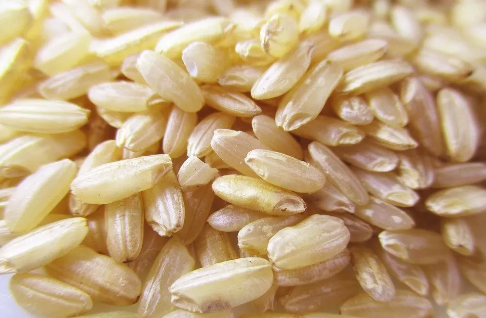 会吃米的人更健康！改善体质加营养，6种“长寿米”别错过