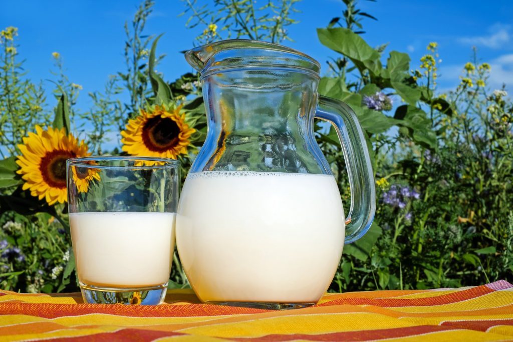 想变壮，喝乳清蛋白就对了？乳清蛋白不适宜人群？