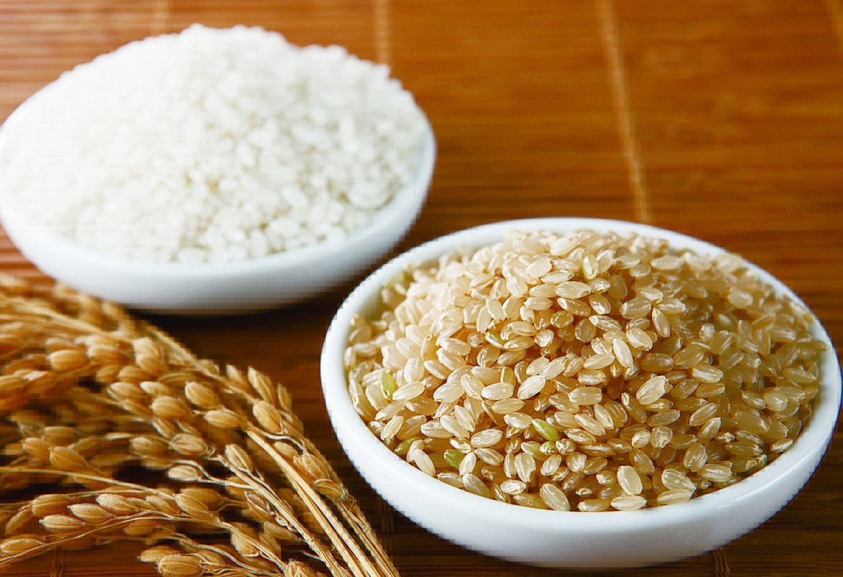 食用酵素活米 发芽玄米活化健康人生 美豆芽食物趋势