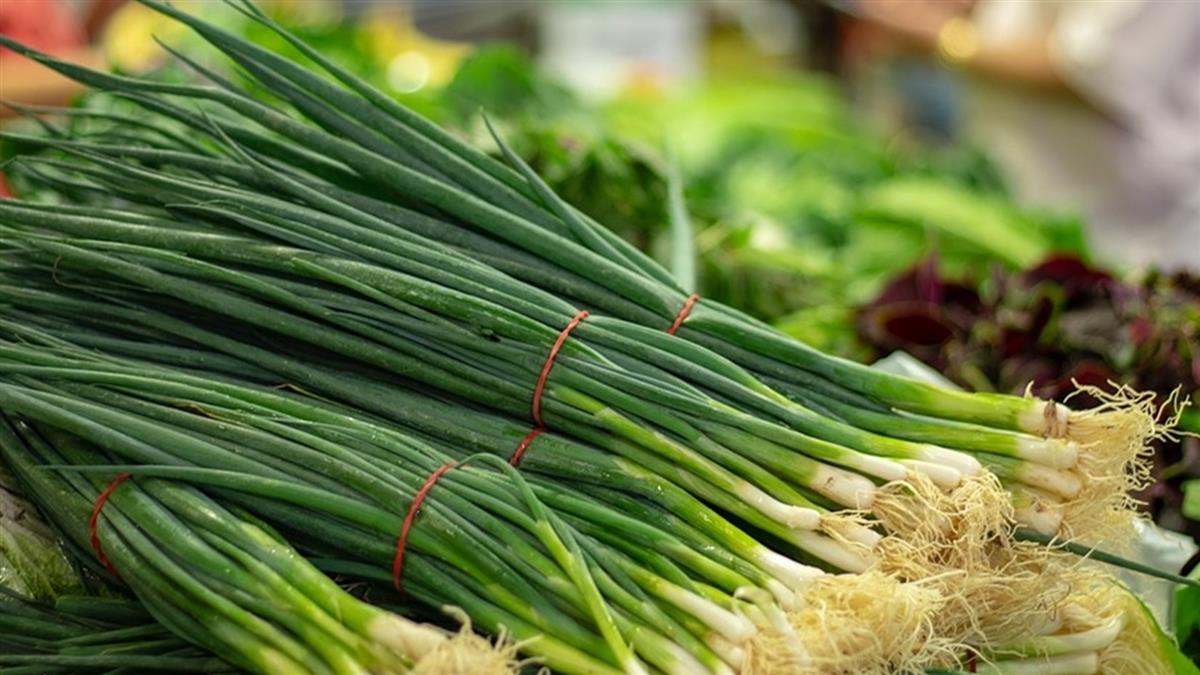 防癌抗感冒!吃葱让身体升温,抗病免疫力大跃进