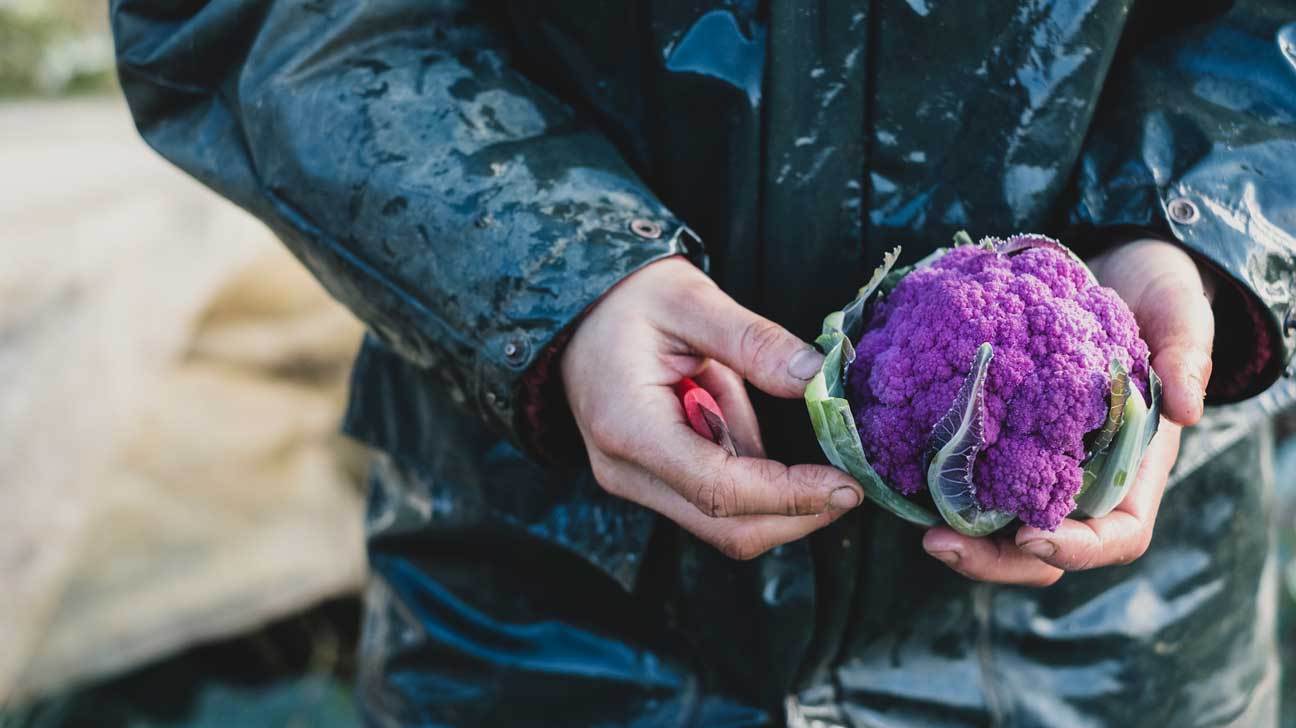 16种营养丰富,美味可口的紫色食物