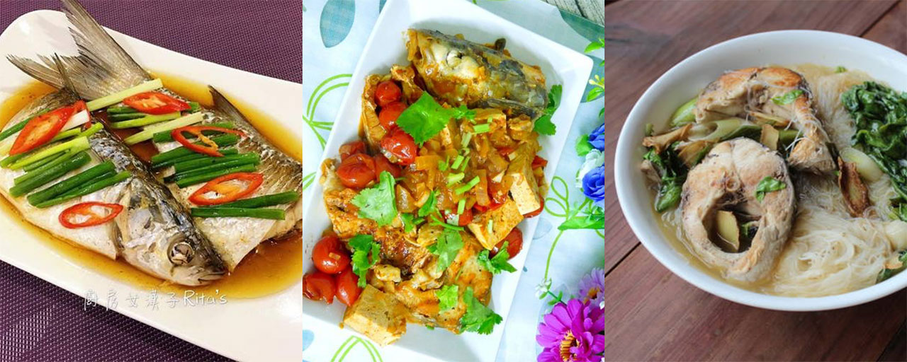 全身都营养满分的乌鱼营养功效与作用