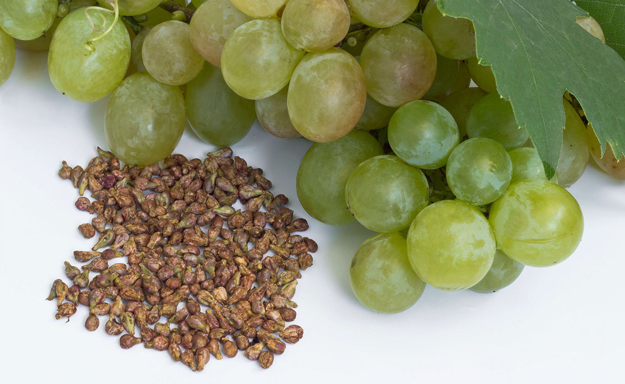 葡萄籽提取物:对人们突出的10大健康益处