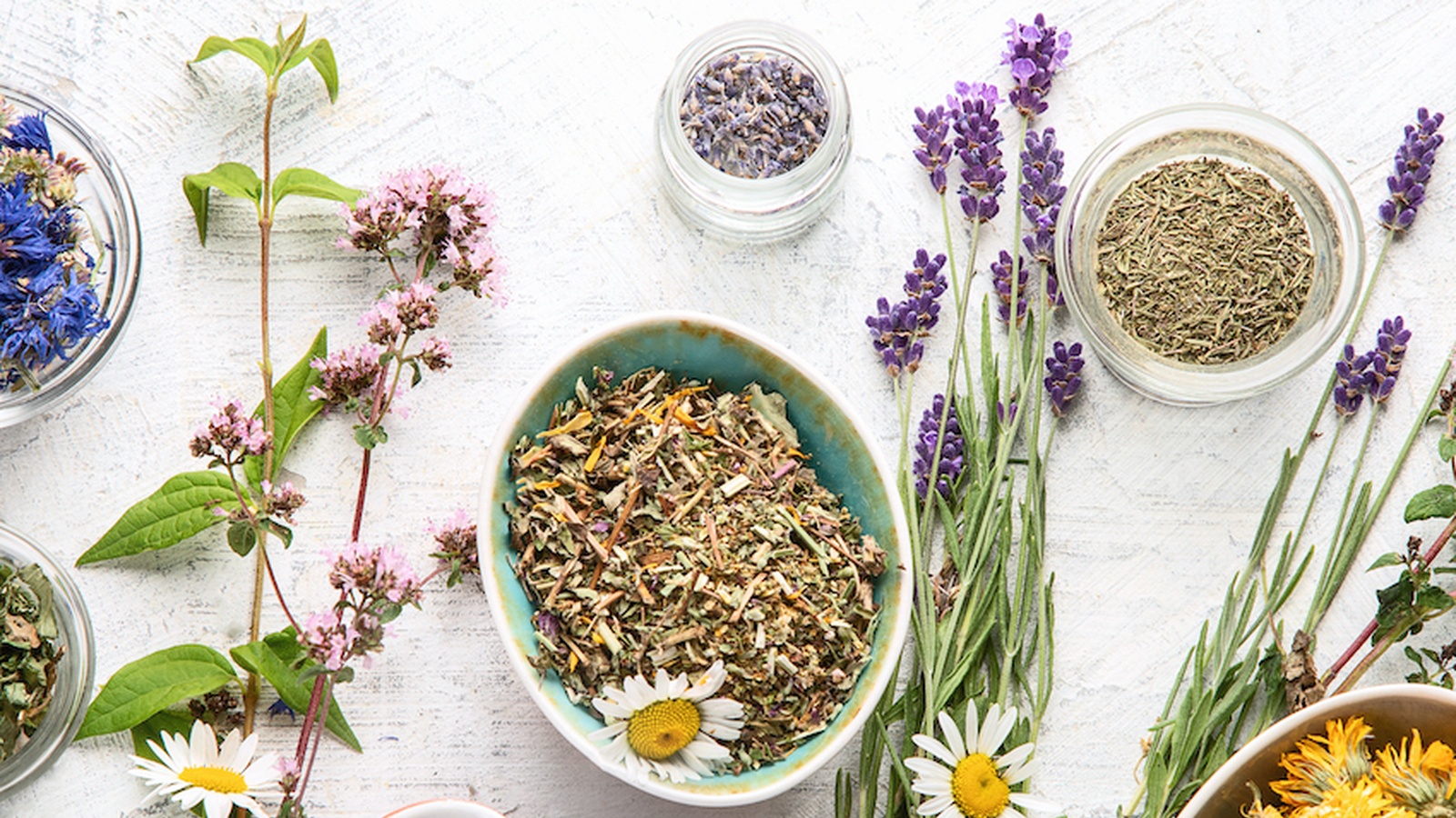 减轻肠易激综合征症状的7种草药