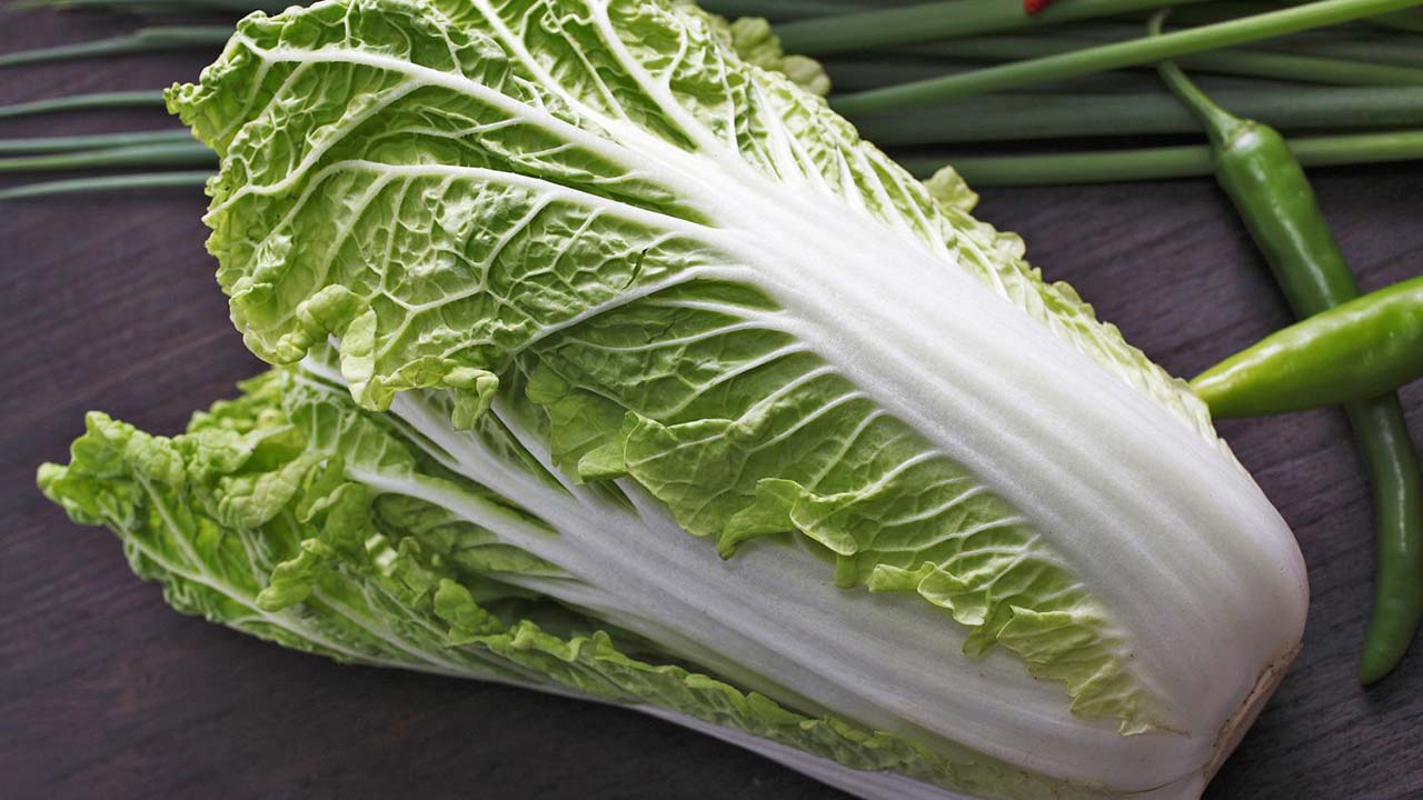 纤维比高丽菜更细!大白菜5大好处排进抗癌明星队