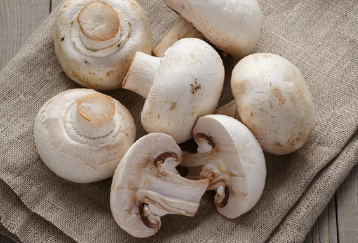 美国研究：每天18g蘑菇，降癌症风险45％！对付乳癌效果最好