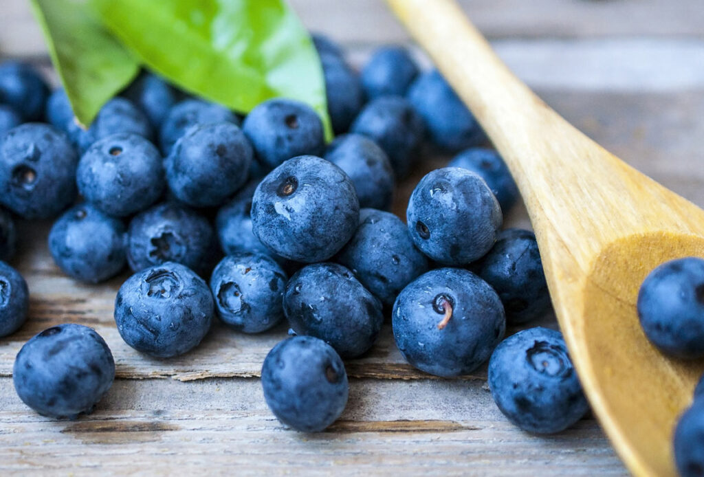 蓝莓的营养价值丰富
